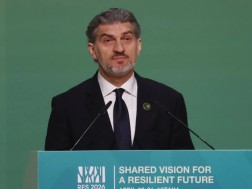 მიხეილ ყაველაშვილი