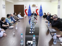 შეხვედრა ჯანდაცვაში