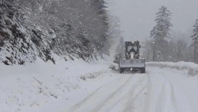 საჩხერე