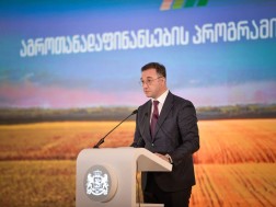 დავით სონღულაშვილი