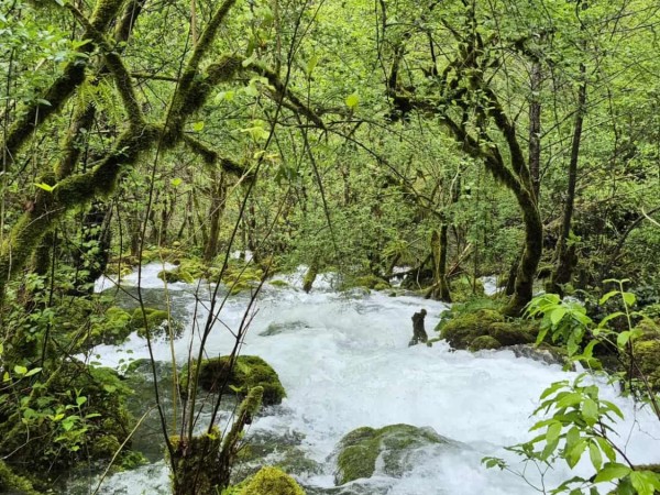 მდინარე დეიძახი