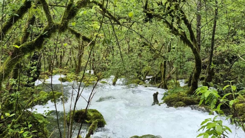 მდინარე დეიძახი