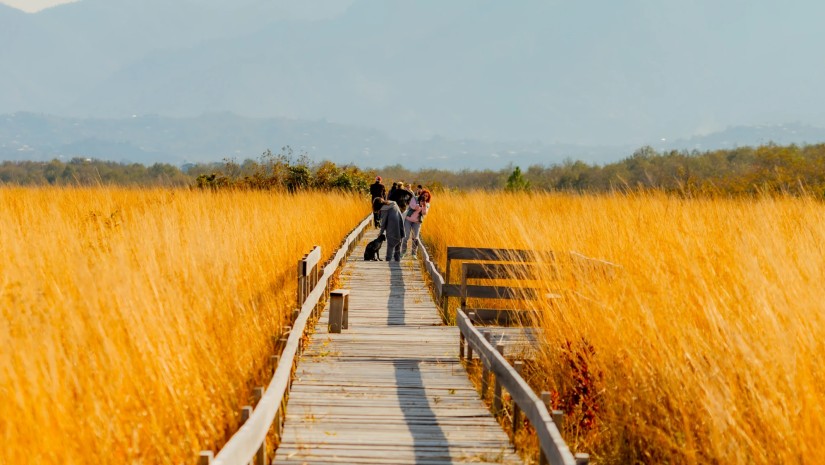 ტურიზმკ