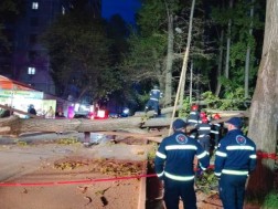 დააზიანა