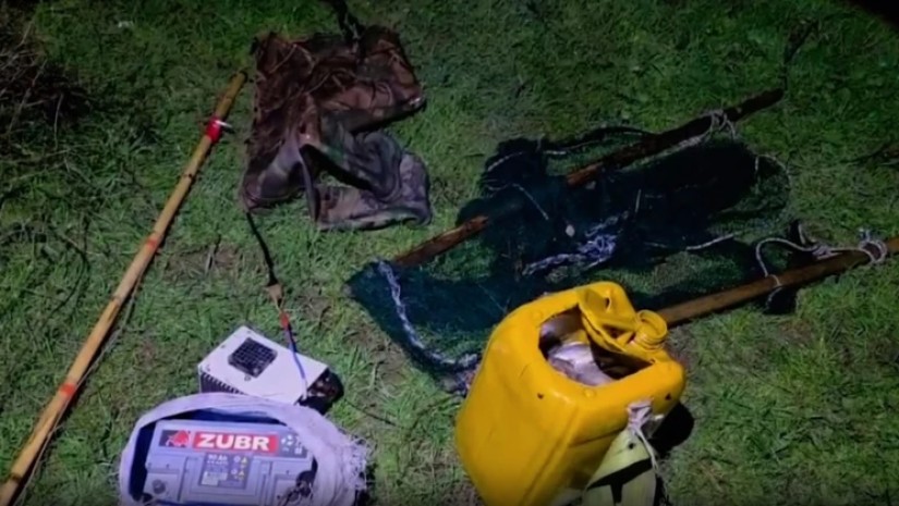 ბრაკონიერობა