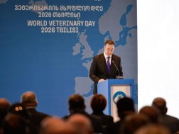 სონღულაშვილი