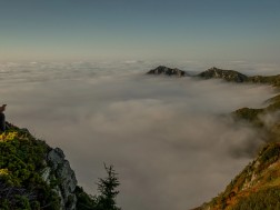 ტურიზმი