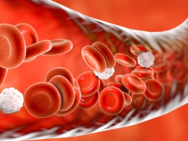 არტერიული წნევა