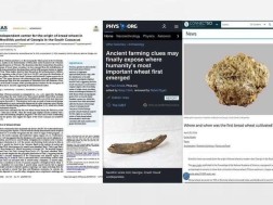 სტატია საქართველოზე