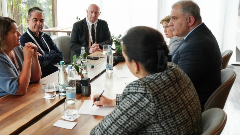 მიხეილ სარჯველაძე