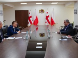 მიხეილ სარჯველაძე