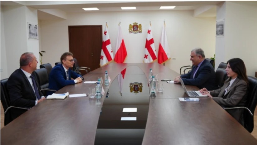 მიხეილ სარჯველაძე