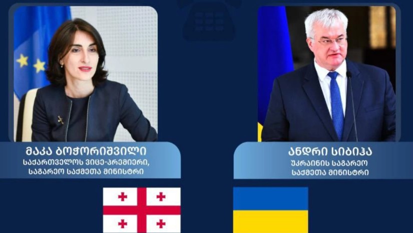 მაკა ბოჭორიშვილი ანდრეი სიბიგა