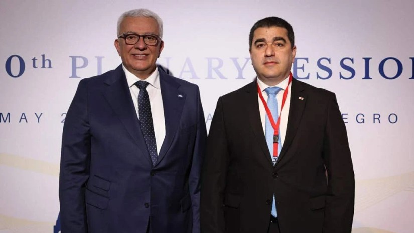 შალვა პაპუაშვილი