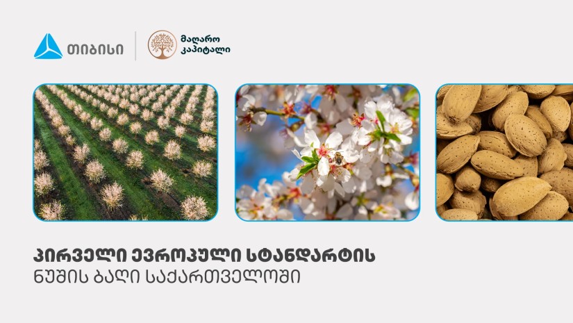 თიბისი
