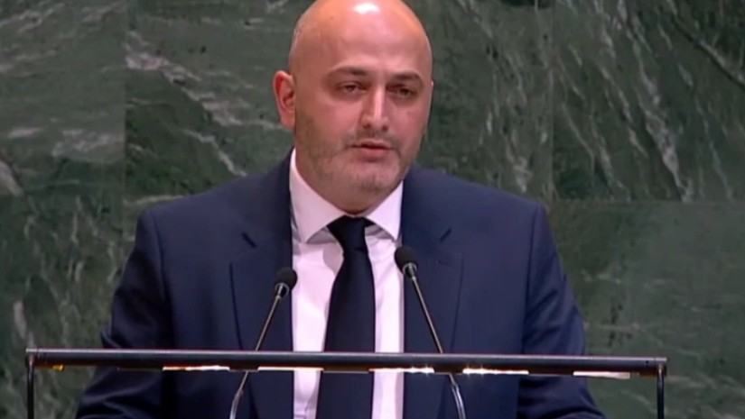 იუსტიციის მინისტრის მოადგილე