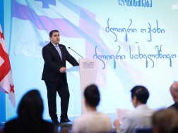 შალვა პაპუაშვილი