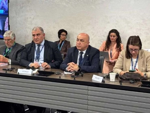 მიხეილ სარჯველაძე მიხეილ სარჯველაძე