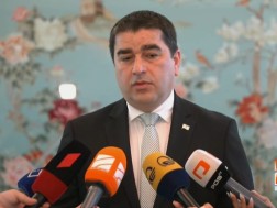 შალვა პაპუაშვილი შალვა პაპუაშვილი