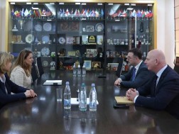 დავით სონღულაშვილი დავით სონღულაშვილი