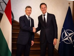 პეტერ მადიარი მარკ რუტე პეტერ მადიარი მარკ რუტე