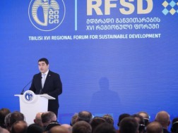 შალვა პაპუაშვილი
