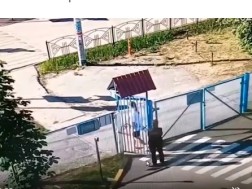 ბაღში ბაღში
