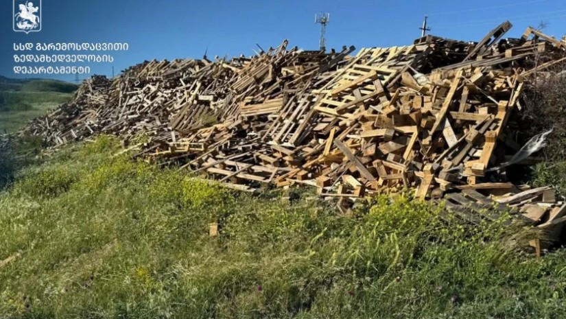 გარემოსდაცვითი ზედამხედველობის დეპარტამენტი