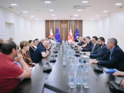 დავით სონღულაშვილი