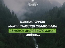 დაცული ტერიტორია