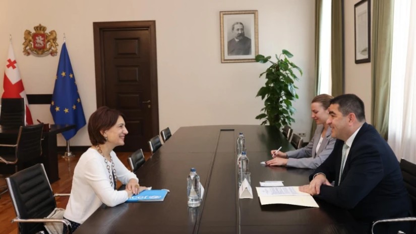 შალვა პაპუაშვილი საქართველოში UNICEF-ის ახალ წარმომადგენელს შეხვდა