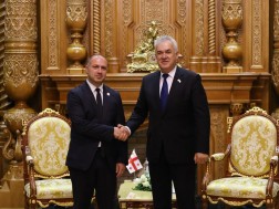 მიქანაძე მიქანაძე