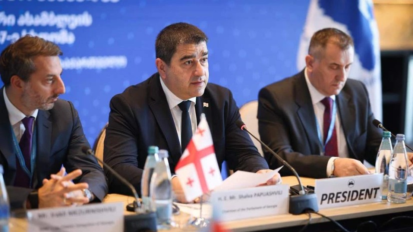 შალვა პაპუაშვილი