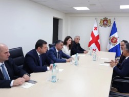 თბილისის პოლიციის დეპარტამენტის დირექტორი