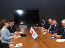 თამარ იოსელიანი