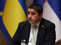 შალვა პაპუაშვილი შალვა პაპუაშვილი
