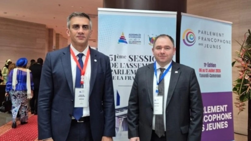 საქართველოს საპარლამენტო დელეგაცია