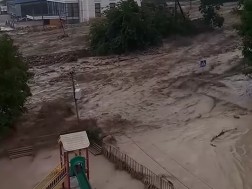 სტიქია თელავში