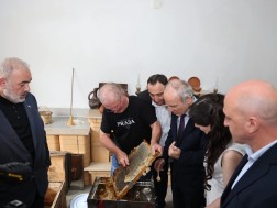ვეტერნები