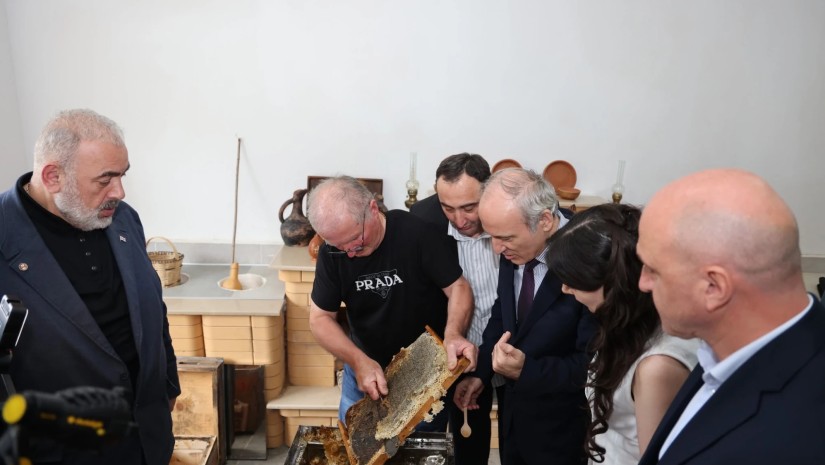 ვეტერნები