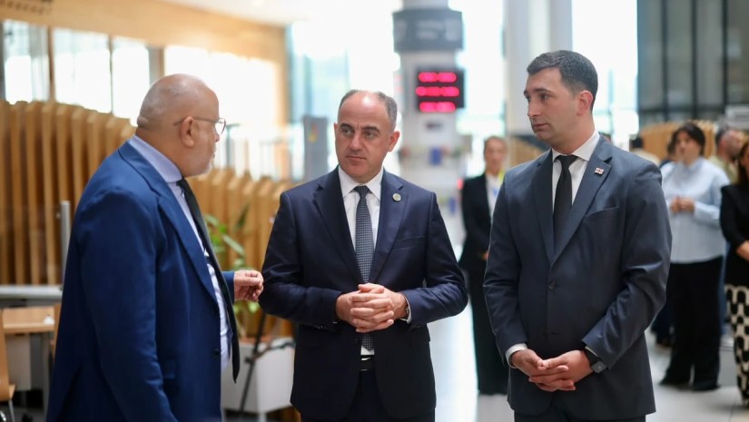 დავით ნარმანის