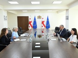 მიხეილ სარჯველაძე