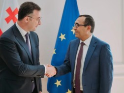 დავით სონღულაშვილი