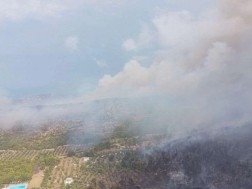 ხანძარი