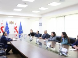 მიხეილ სარჯველაძე მიხეილ სარჯველაძე
