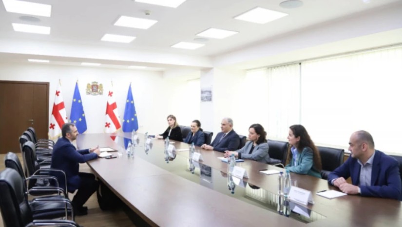 მიხეილ სარჯველაძე
