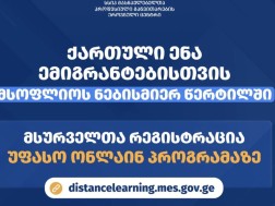 ქართული ენა