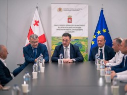  გენადი კერძევაძე 