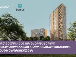 Domusi