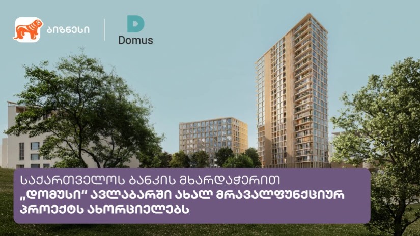 Domusi